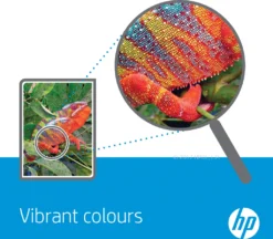 HP 364 4er-Pack Schwarz/Cyan/Magenta/Gelb Original Tintenpatronen -Elektronikpunkt 0e5e957e3494b4826e653e20aa10e2eb