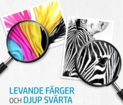 HP 302 (X4D37AE) Multipack Original Druckerpatronen 1xSchwarz, 1x Farbe Für HP DeskJet 1110, 213x, 363x, HP ENVY 452x, HP OfficeJet 383x, 465x, 52x -Elektronikpunkt 2516b47b44a1fdc751975522004ac34e 2