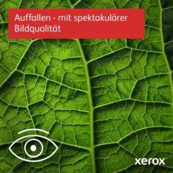 Xerox™ Xerox B230 A4 34 Seiten/Min. Wireless-Duplexdrucker PCL5e/6 2 Behälter Gesamt 251 Blatt 26 Xerox™ Xerox B230 A4 34 Seiten/Min. Wireless-Duplexdrucker PCL5e/6 2 Behälter Gesamt 251 Blatt -Elektronikpunkt 28fd42d0d79ef2a9bc078c13b4b44e30