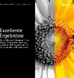 Xerox™ Xerox Toner Bk, Farbe Schwarz,1500 Seiten,106R04346 -Elektronikpunkt 39d309567e7cab03d254c5bfc705a891