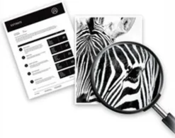 HP 301 2er-Pack Schwarz/Cyan/Magenta/Gelb Original Tintenpatronen -Elektronikpunkt 574cd09e483892140d10dbb76800a2c1