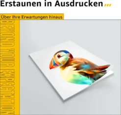 CMYBabee 502 XL Tintenpatrone Für Epson 502 XL Ersatz Für Expression Home XP-5105 XP-5100 XP-5150 XP-5155 Workforce WF-2860DWF WF-2865DWF WF-2880DWF WF-2885DWF (5er Pack) -Elektronikpunkt 629e6e074ec77985730a487e793ecc78