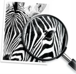 HP 62 - 2er-Pack - Farbe (Cyan, Magenta, Gelb), Pigmentiertes Schwarz - Original - Tintenpatrone -Elektronikpunkt 867eade93ec315efb28633d8eaa4828e 1