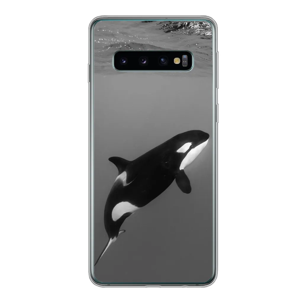 MuchoWow® Handyhülle Schutzhülle Hülle Für Samsung Galaxy S10 Orca - Wasser - Tiere Silikon Softcase Handy Hülle - Handytasche 3 MuchoWow® Handyhülle Schutzhülle Hülle Für Samsung Galaxy S10 Orca - Wasser - Tiere Silikon Softcase Handy Hülle - Handytasche