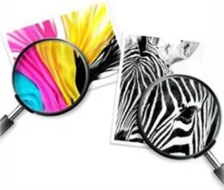 HP 62 - 2er-Pack - Farbe (Cyan, Magenta, Gelb), Pigmentiertes Schwarz - Original - Tintenpatrone -Elektronikpunkt f7c3d905cb6db68fa15c72576b213975 1